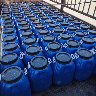 ক্যাটানিক ইমালসিফায়ার